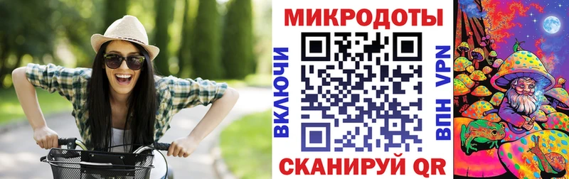 закладки  Конаково  Галлюциногенные грибы MAGIC MUSHROOMS 